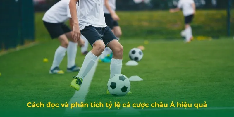 Tỷ Lệ Cá Cược Châu Á: Cách Hiểu Chuẩn Để Dễ Thắng Lớn Cách đọc và phân tích tỷ lệ cá cược châu Á hiệu quả